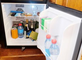 A Guide to Choosing Your Mini Fridge